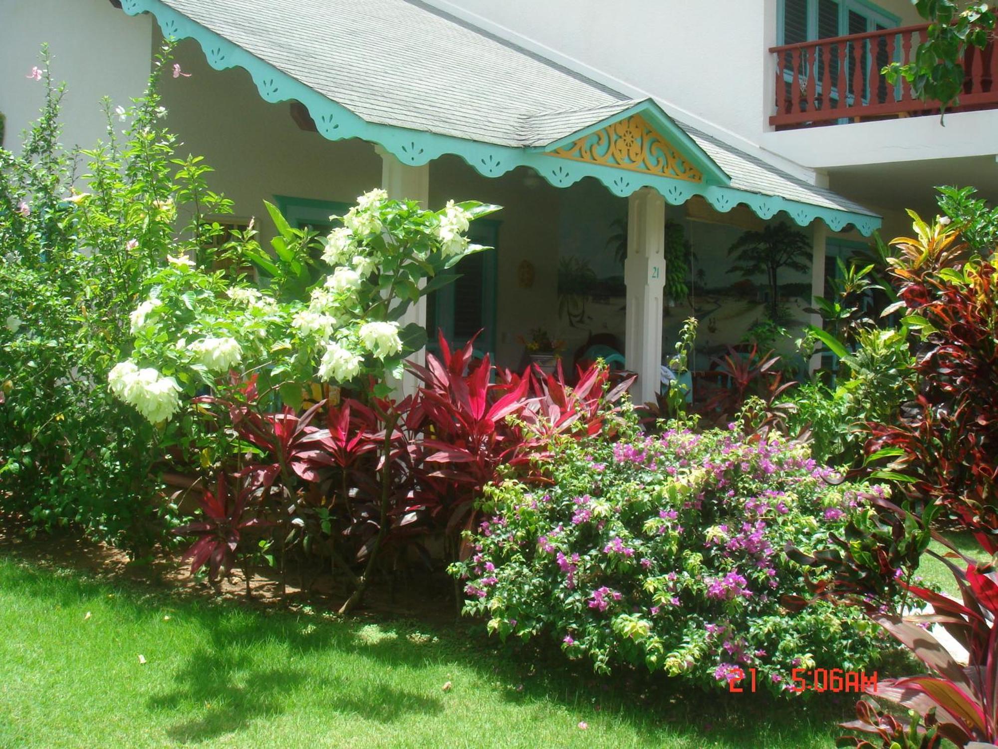 Hotel Playa Colibri Las Terrenas Exteriör bild